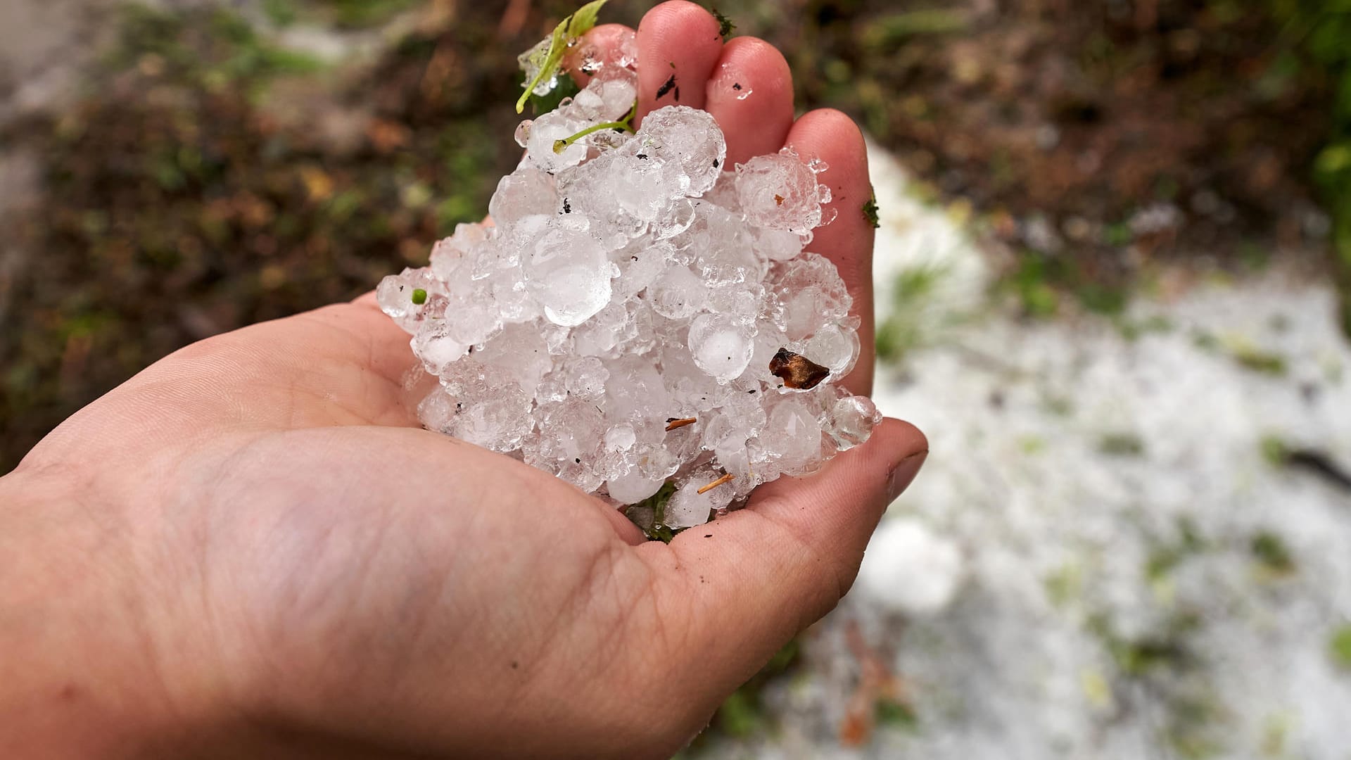 Rheinland-Pfalz: Am Mittelrhein brachte das Gewitter größere Hagelkörner mit sich.