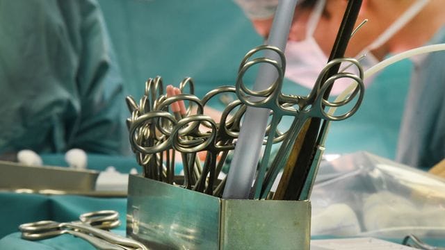 Organspende Organspende