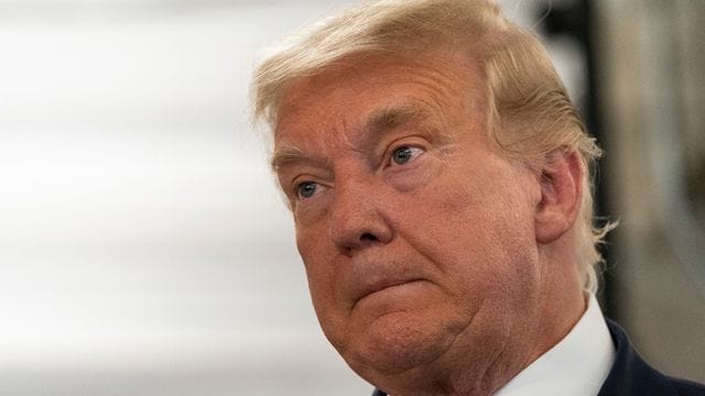 Der damalige US-Präsident Donald Trump Anfang November vergangenen Jahres. Der damalige US-Präsident Donald Trump Anfang November vergangenen Jahres.