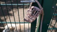 Tierheime befürchten Abgabewelle von Tieren nach Lockdown