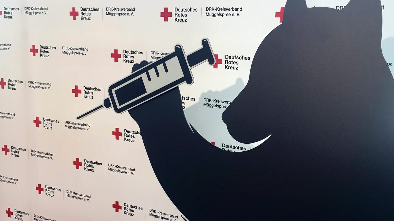 Der Berliner Bär hält eine Spritze (Symbolbild): Rund 130.000 Termine für Erstimpfungen könnten laut Gesundheitsverwaltung in den Impfzentren freigeschlatet werden.