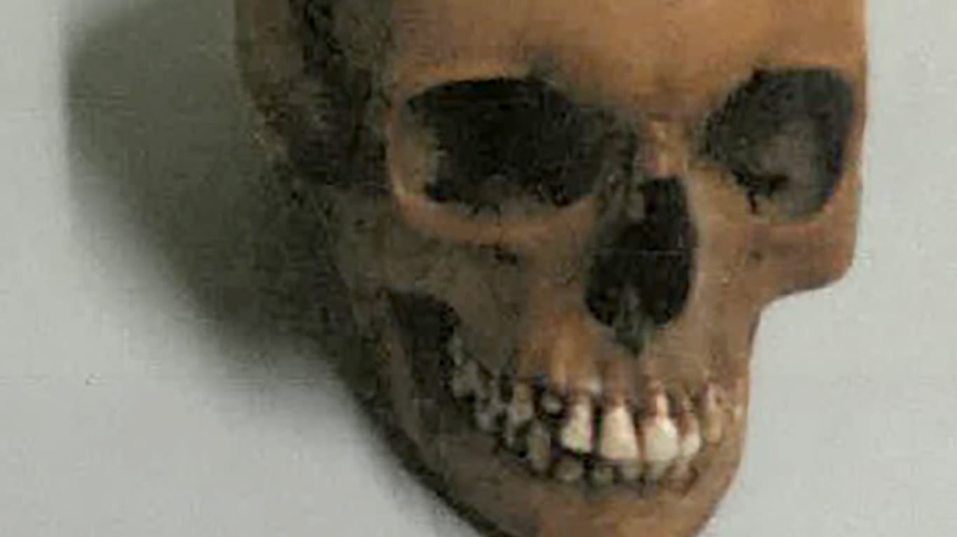 Gruselfund in Hückelhoven: Der Zoll Aachen fand in einem Postpaket diesen Schädel einer Frau.