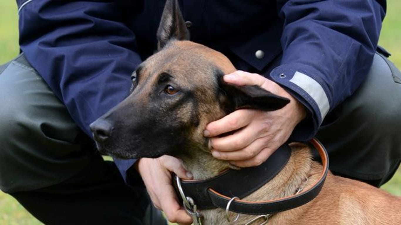 NRW-Innenministerium veröffentlicht Zahlen zu Polizeihunden