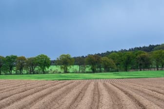 Dunkler Himmel über einem Feld