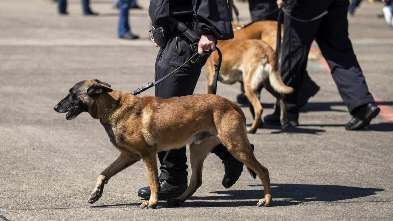 Polizeihunde im Einsatz: Zwei Brüder haben nach Familienstreitigkeiten in Karlsruhe mehrere Polizisten und deren Diensthund verletzt.