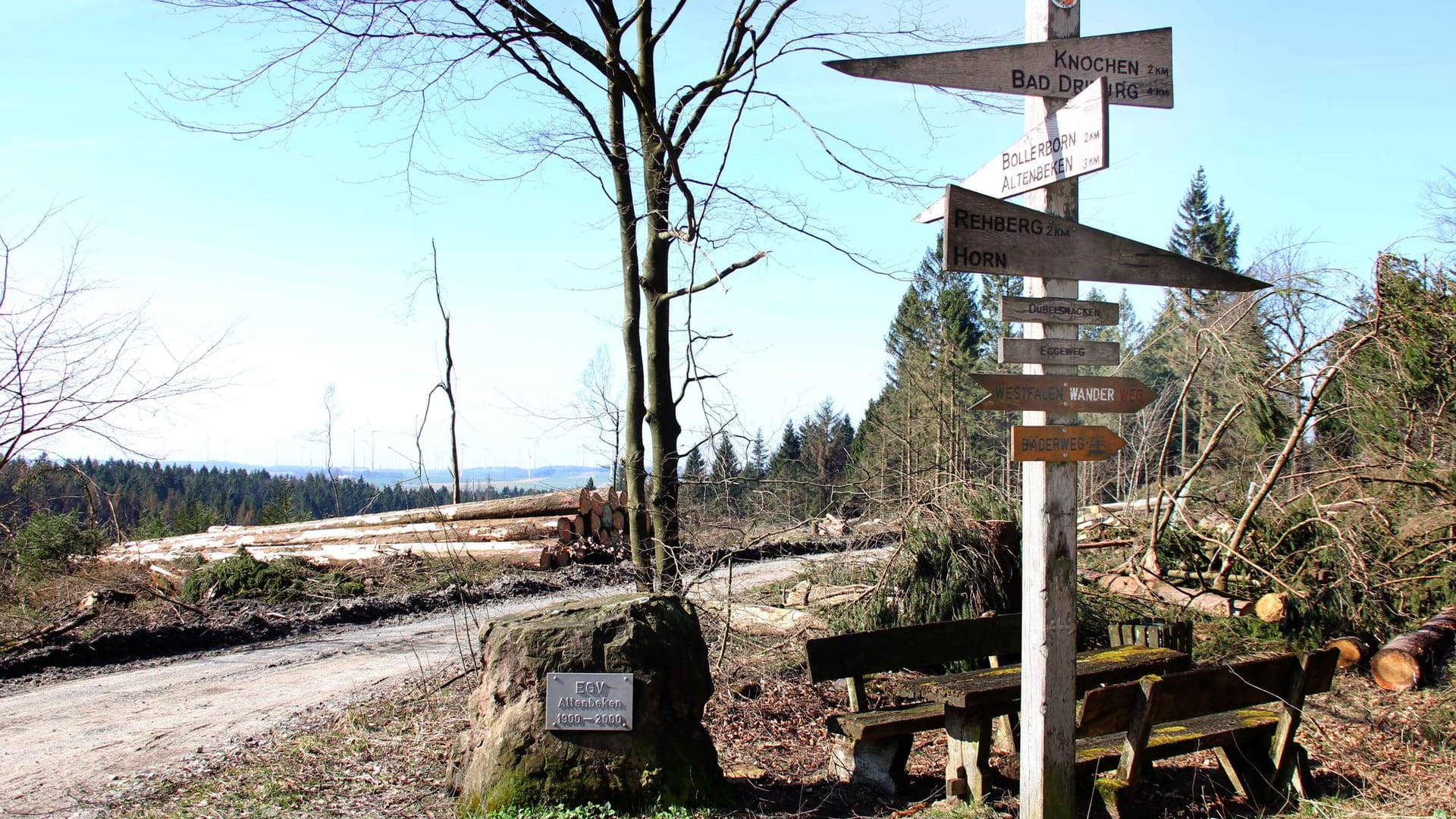 Rastplatz und Wegweiser am Eggeweg: Kahle Stellen geben einen weiten Blick auf die Landschaft frei.