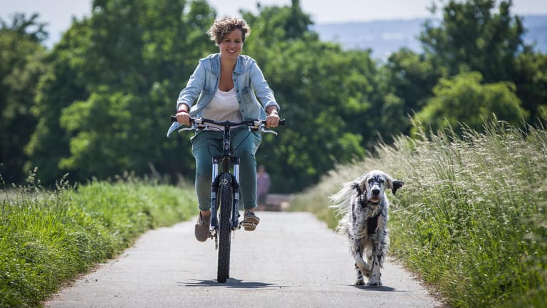 Radfahren mit Hund: Dabei gibt es einiges zu beachten.