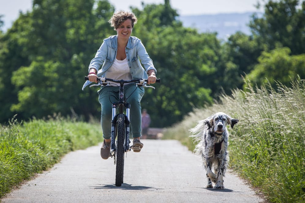 Radfahren mit Hund: Dabei gibt es einiges zu beachten.