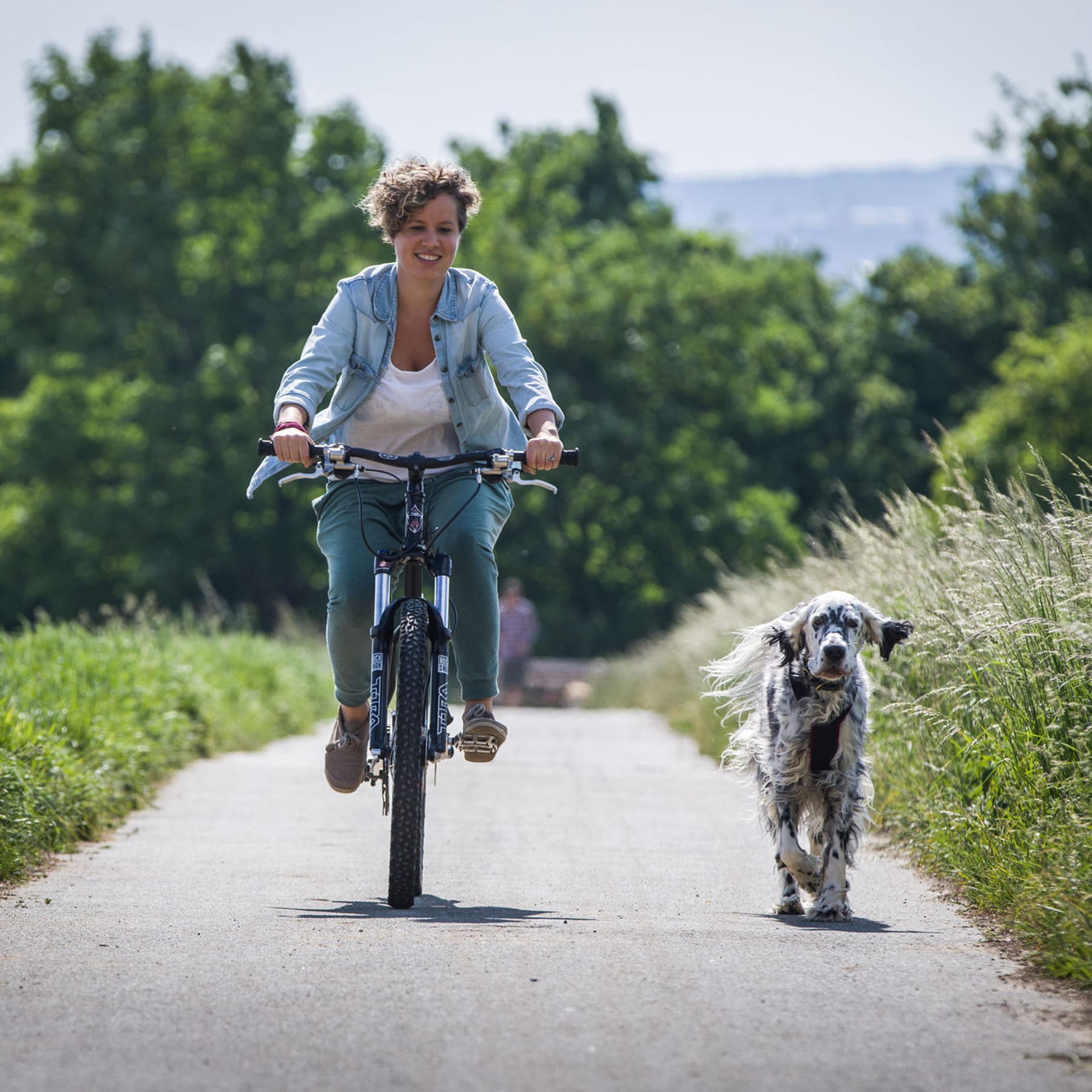 taktik snak Orkan Radfahren mit Hund: Diese fünf Regeln sollten Sie kennen – wertvolle Tipps