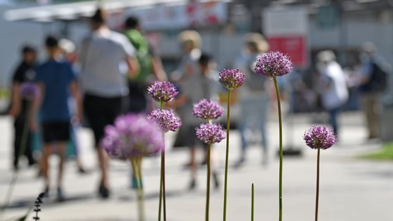 Bundesgartenschau