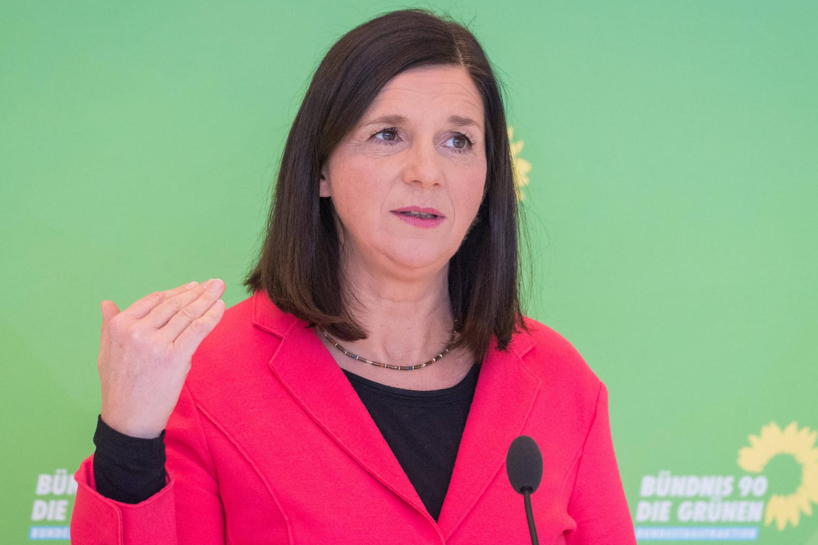 Katrin Göring-Eckardt: Die Grünen-Fraktionschefin warnte davor, Urlaubsflüge zu verteufeln.