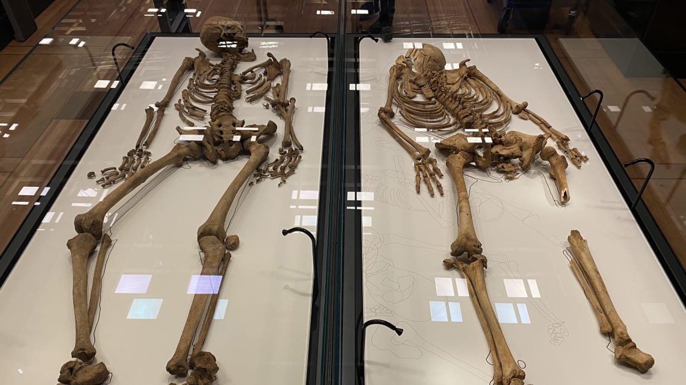 Skelette der Wikinger: Der Fund gibt Aufschluss über die Wanderungen der damaligen Zeit.