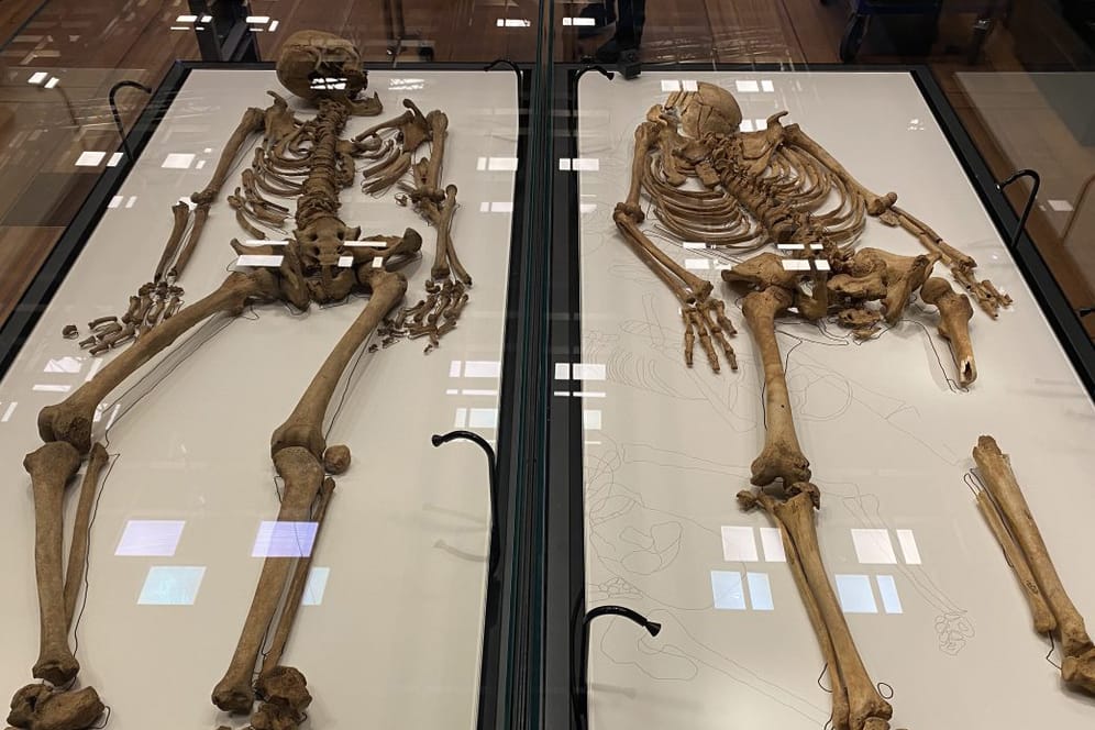 Skelette der Wikinger: Der Fund gibt Aufschluss über die Wanderungen der damaligen Zeit.