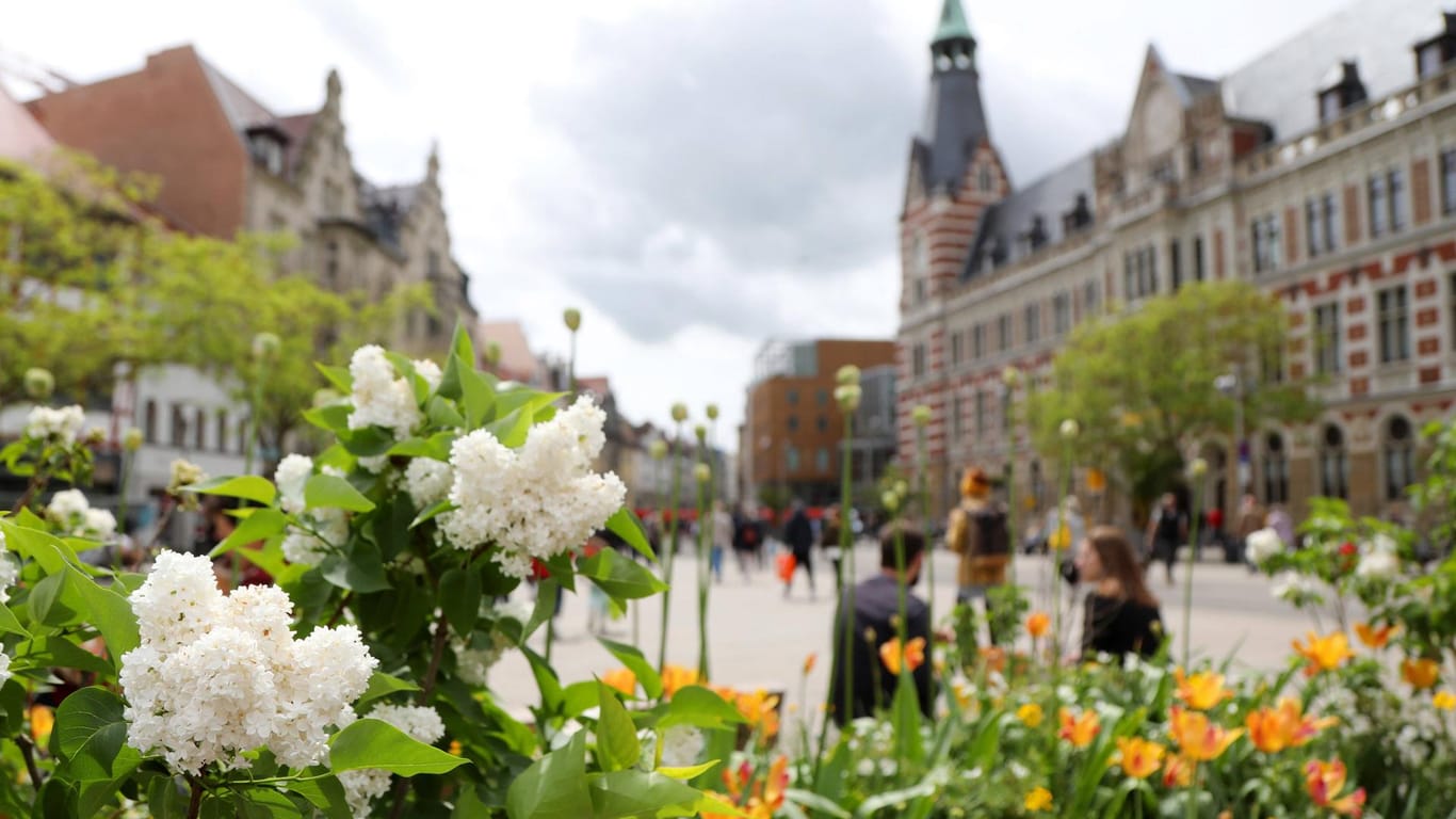 Blumen blühen auf dem Anger in Erfurt (Symbolbild): Stück für Stück kehrt wieder mehr Leben in die Stadt.