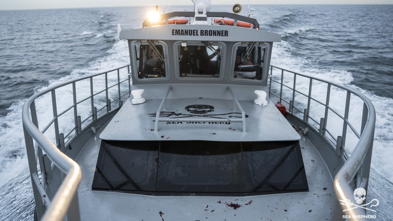Die "Emanuel Bronner" bei Fehmarn: Seit 7. Juni ist das deutsche Boot von Sea Shepherd wieder im Einsatz.