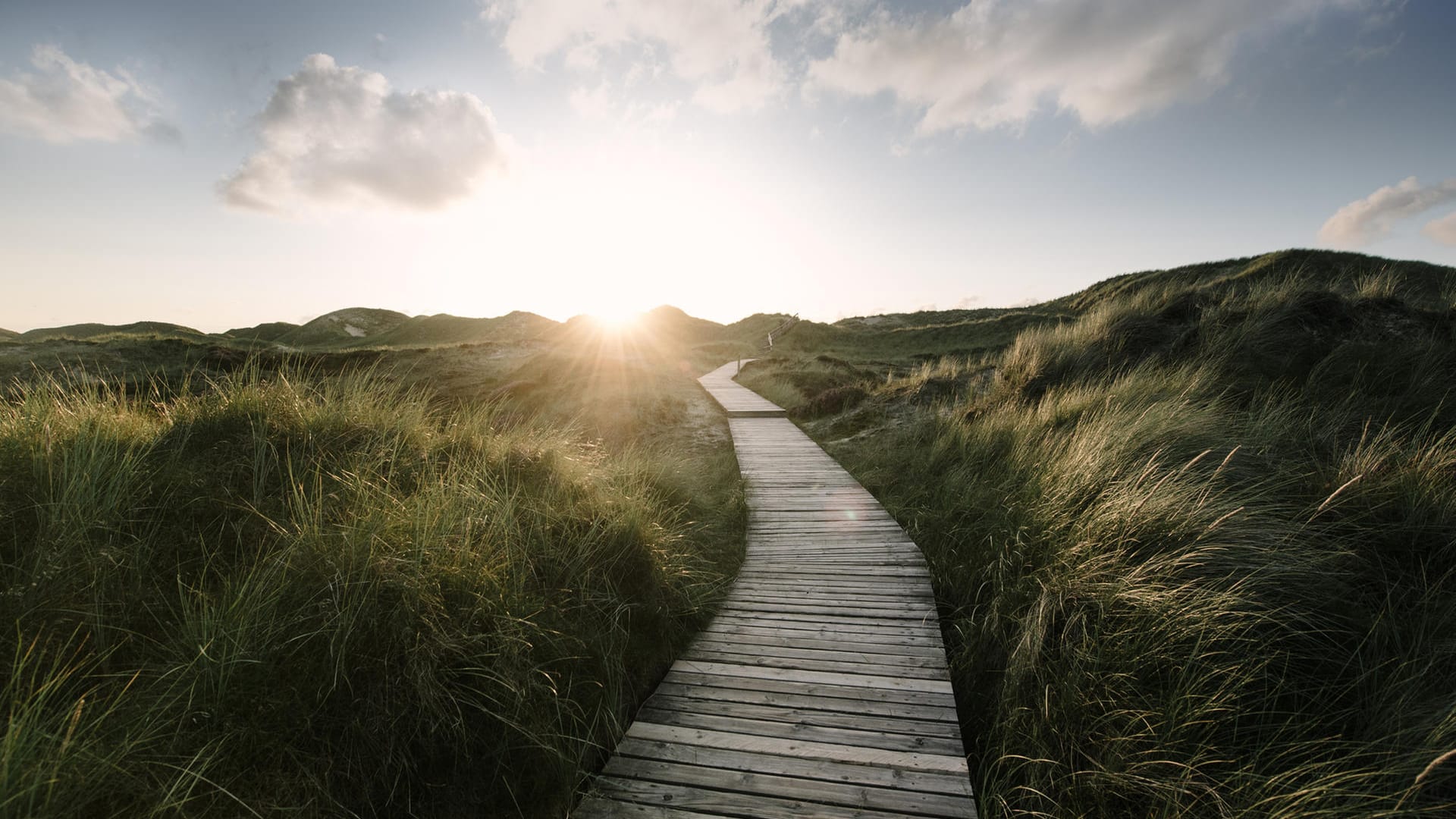 Bohlenweg auf Amrum: Sie führen durch die Dünen. Wer auf ihnen unterwegs ist, begegnet oft niemandem.