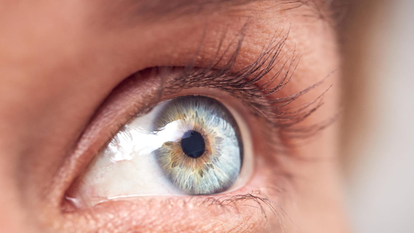 Auge: Offenbar hängt die Größe der Pupillen eng mit der Intelligenz einer Person zusammen.