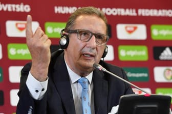 Traut Ungarn einiges bei der EM zu: Ex-Nationaltrainer Georges Leekens.