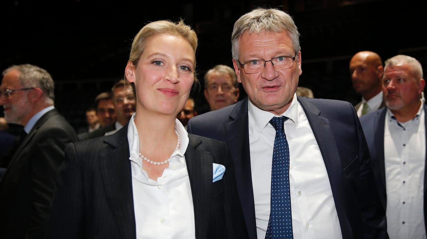 Spitzenkandidatin Alice Weidel und Co-Vorsitzender Jörg Meuthen: Beide erhielten verdeckte Spenden.