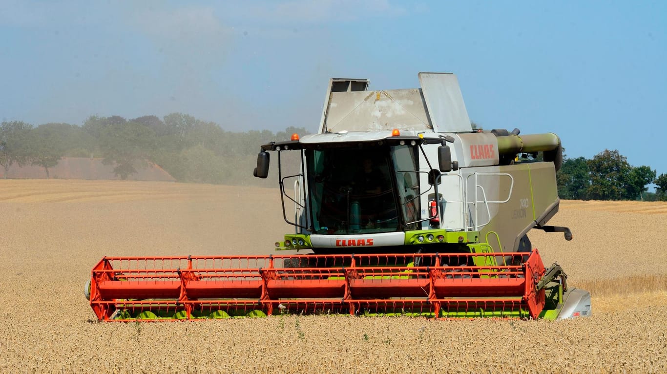 Mähdrescher auf einem Getreidefeld: In Mecklenburg Vorpommern verletzte sich ein Mann beim Reinigen seiner Maschine tödlich (Symbolfoto).