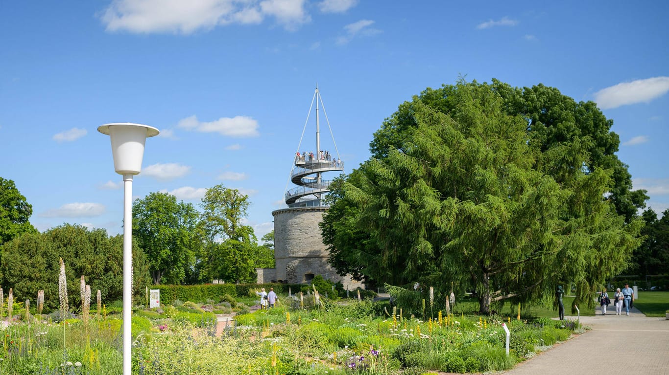 Der Skulpturengarten und Aussichtsturm auf der Bundesgartenschau 2021 in Erfurt: Dort wurden nun Hanfpflanzen entdeckt.