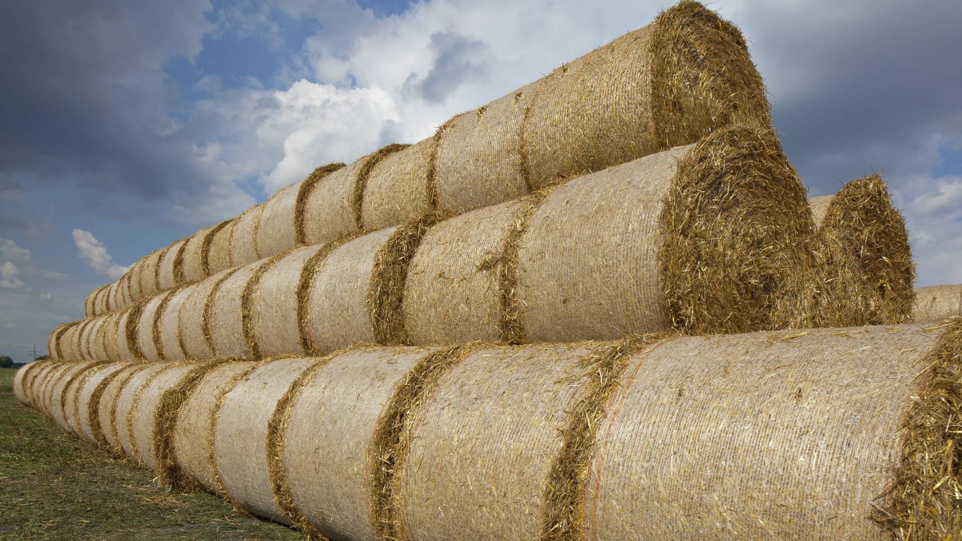 Gestapelte Heuballen: In Niedersachsen ist ein Mann bei einem Arbeitsunfall gestorben. (Symolbild) Gestapelte Heuballen: In Niedersachsen ist ein Mann bei einem Arbeitsunfall gestorben. (Symolbild)