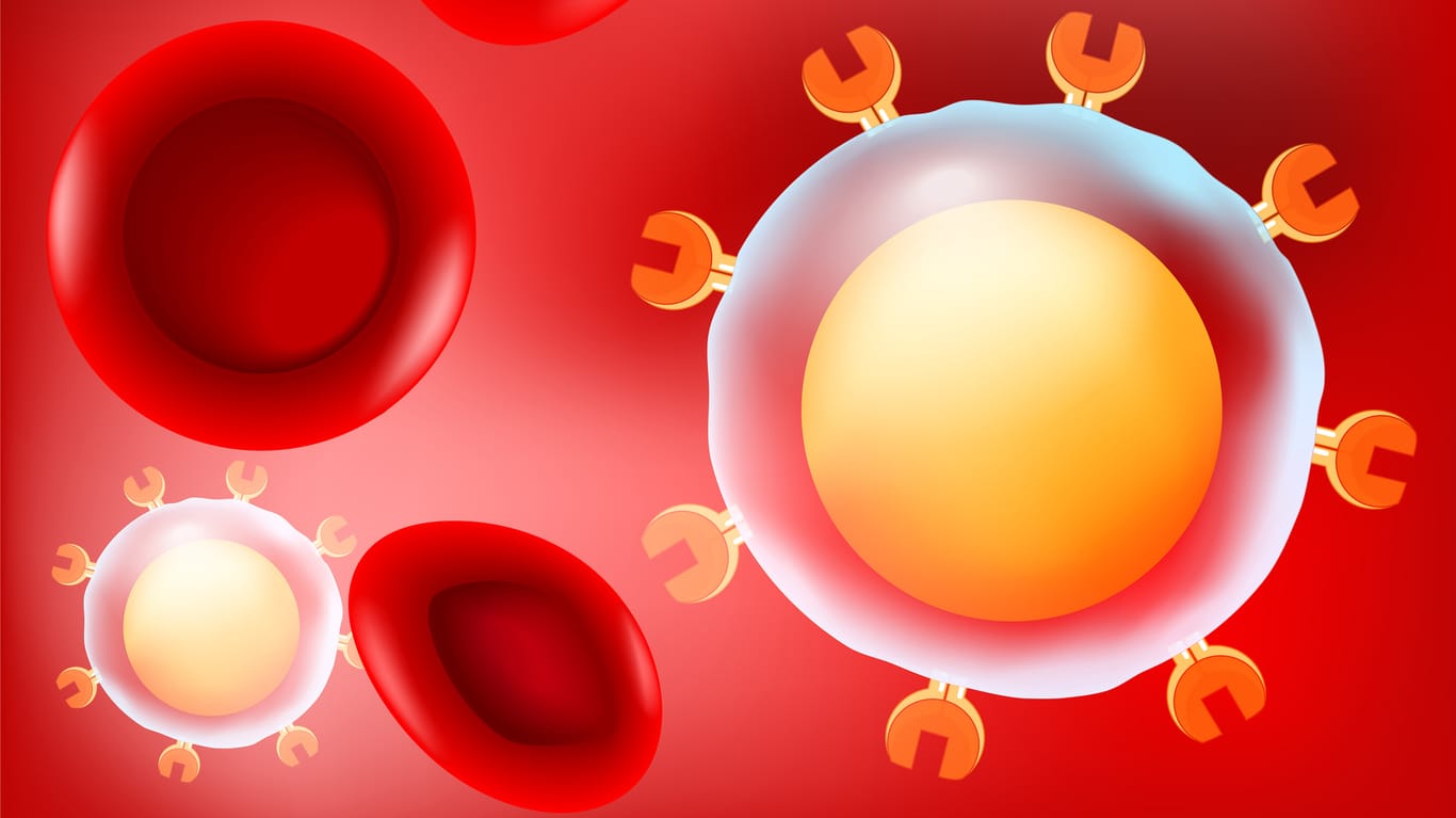 Grafische Darstellung der Abwehrzellen im Blut. T-Lymphozyten (gelb) sind ein wichtiger Teil des erworbenen Immunsystems. Sie sind verantwortlich für den Langzeitschutz vor Infektionen.