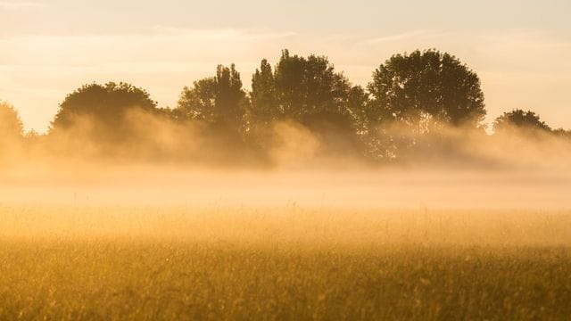Sommer in Niedersachsen
