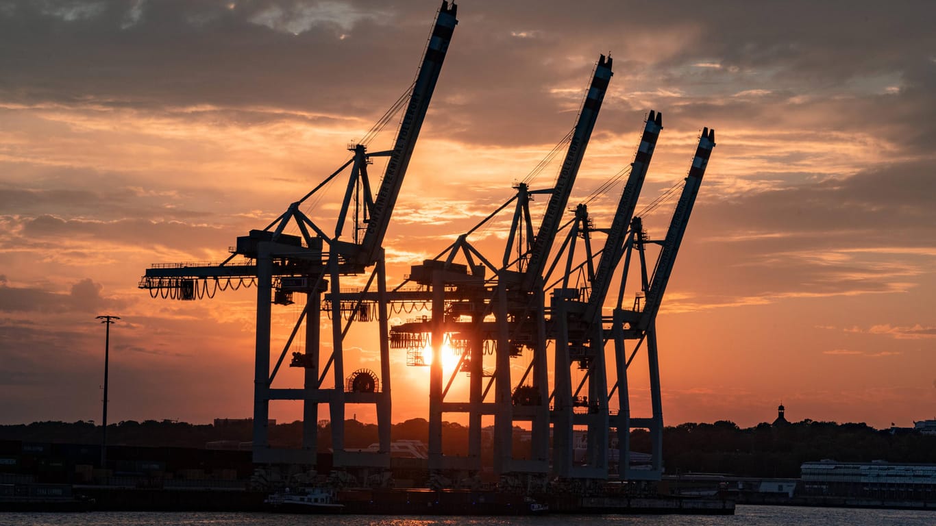 Hafenkräne am Containerhafen: Die Container-Schifffahrt boomt – und machte so eine israelische Reederei vom Verlierer zum Gewinner.