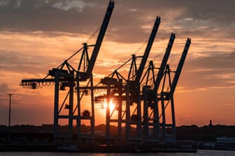 Hafenkräne am Containerhafen: Die Container-Schifffahrt boomt – und machte so eine israelische Reederei vom Verlierer zum Gewinner.