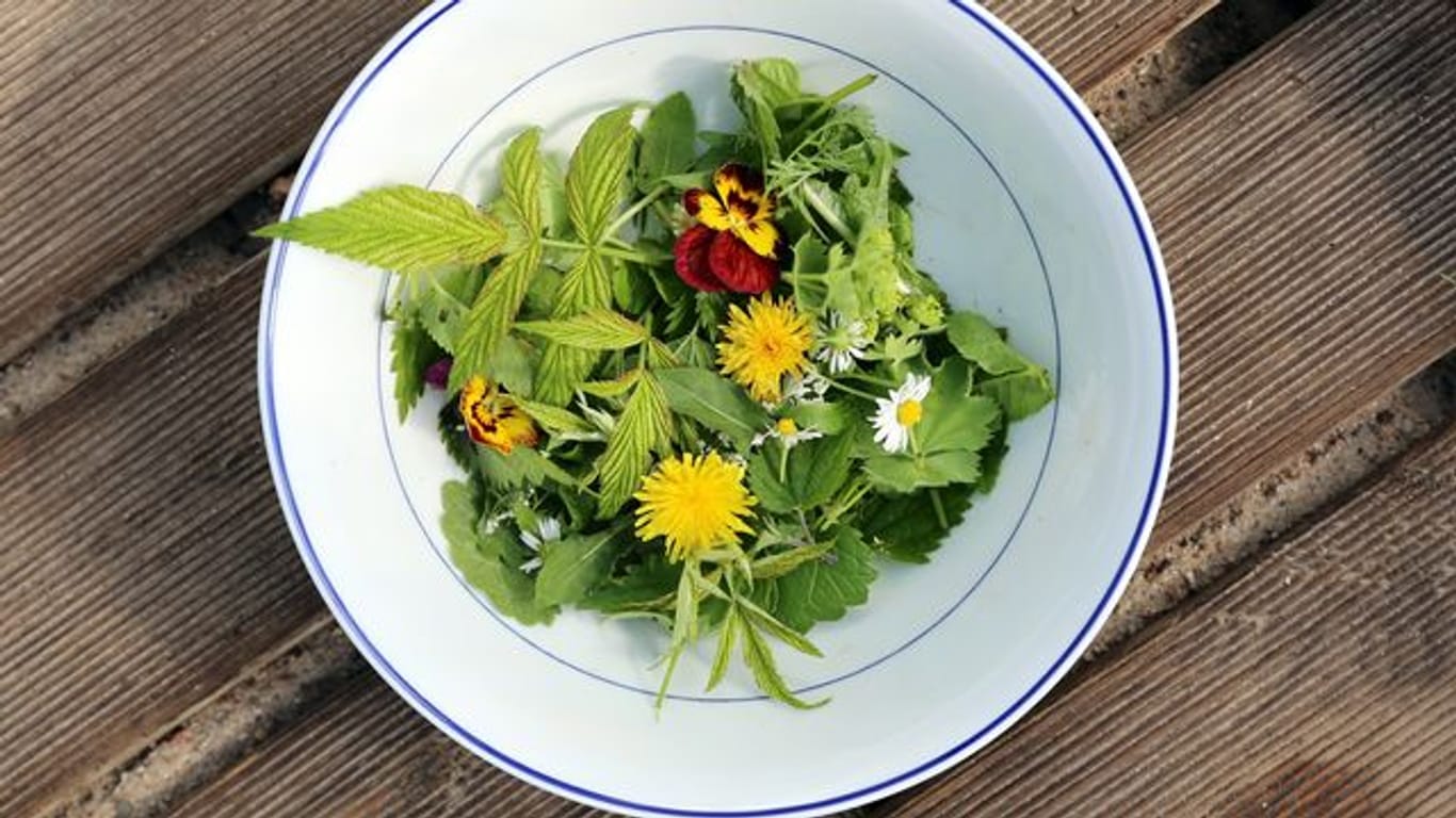Bunte Tupfer auf dem Teller: Blüten verleihen einem Wildkräuter-Salat ein schönes Aussehen und ein besonderes Aroma.