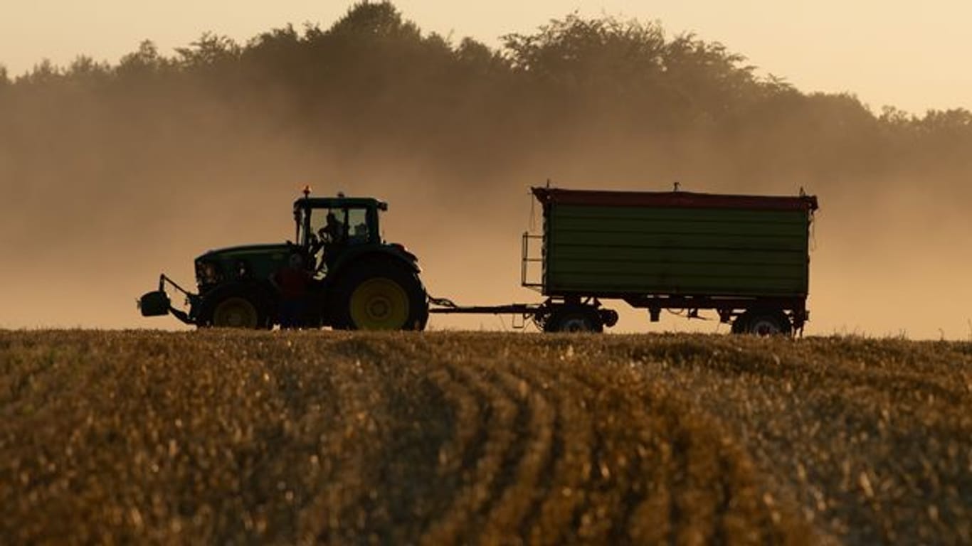 Ein Traktor steht mit einem Anhänger auf einem abgeernteten Feld