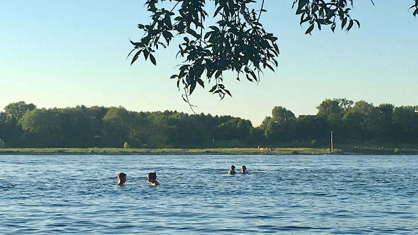 Sommer-Idylle in in Köln: Leider bedeuten warme Temperaturen auch immer wieder Notfälle, die durch das Baden im Rhein entstehen.