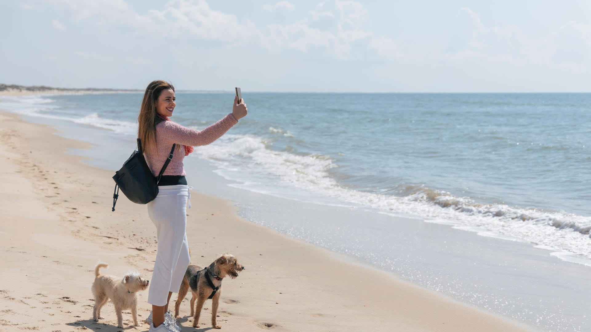 Urlaub mit Hunden: Innerhalb der EU sollten Sie beispielsweise immer an einen Heimtierausweis denken.