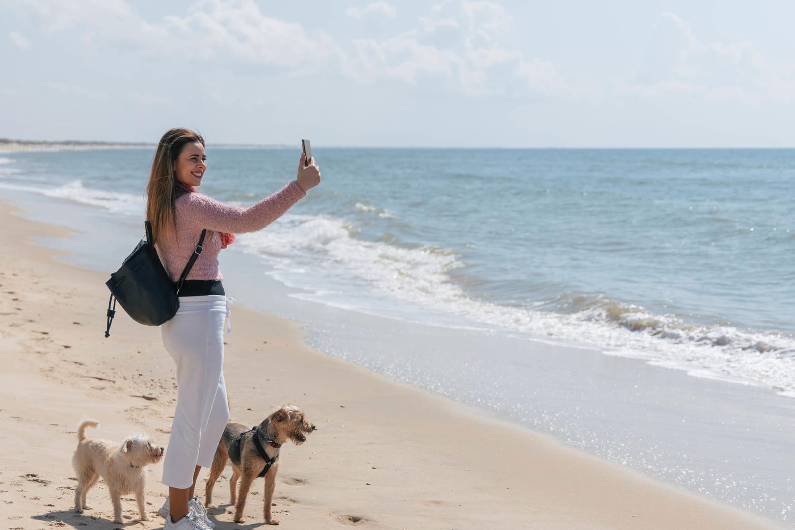 Urlaub mit Hunden: Innerhalb der EU sollten Sie beispielsweise immer an einen Heimtierausweis denken.