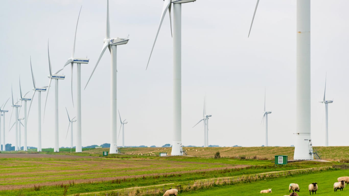 Windräder in Schleswig-Holstein (Symbolbild): Das Land exportiert viel Strom aus Windenergie.