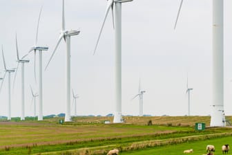 Windräder in Schleswig-Holstein (Symbolbild): Das Land exportiert viel Strom aus Windenergie.