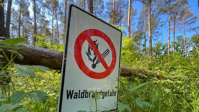 "Waldbrandgefahr" steht auf einem Schild