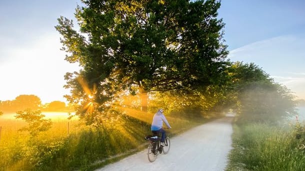 Sommer in Niedersachsen