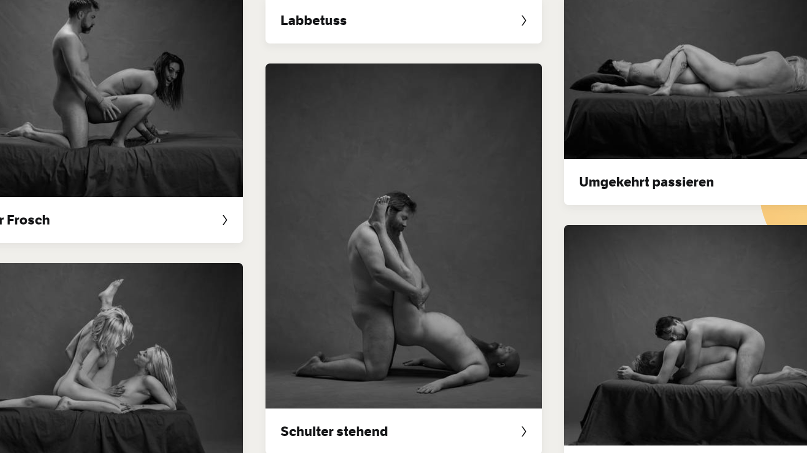 Mit deutscher Übersetzung: Der Sexguide des Fernsehsenders NRK