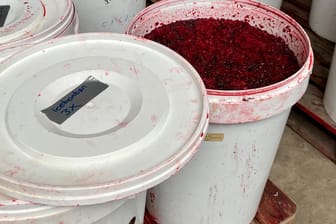 Roter Wasserpfeifentabak mit dem Label "Icebonbon" lagert in weißen Eimern: Die Fahnder stellten mindestens sechs Tonnen des Tabaks und Hunderte Kilogramm Rohtabak sicher.
