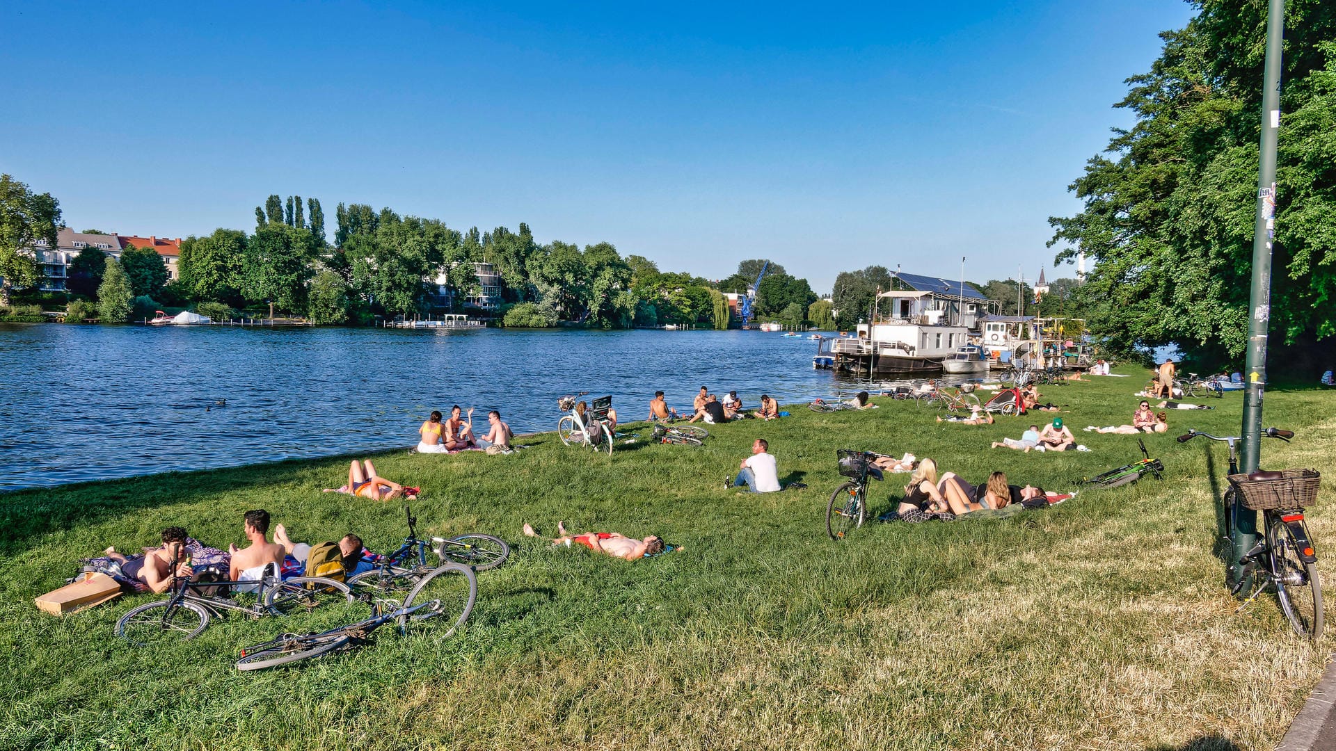 Liegewiese im Treptower Park am Spreeufer: Die Spree hat derzeit Niedrigwasser.