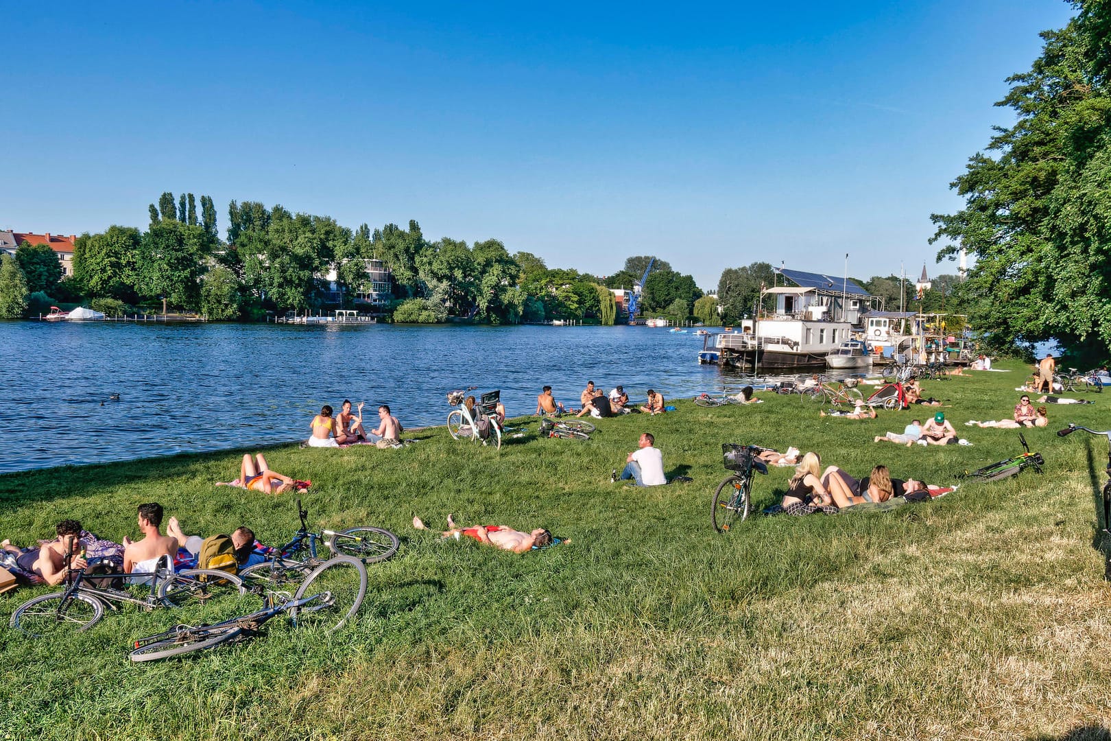 Liegewiese im Treptower Park am Spreeufer: Die Spree hat derzeit Niedrigwasser.