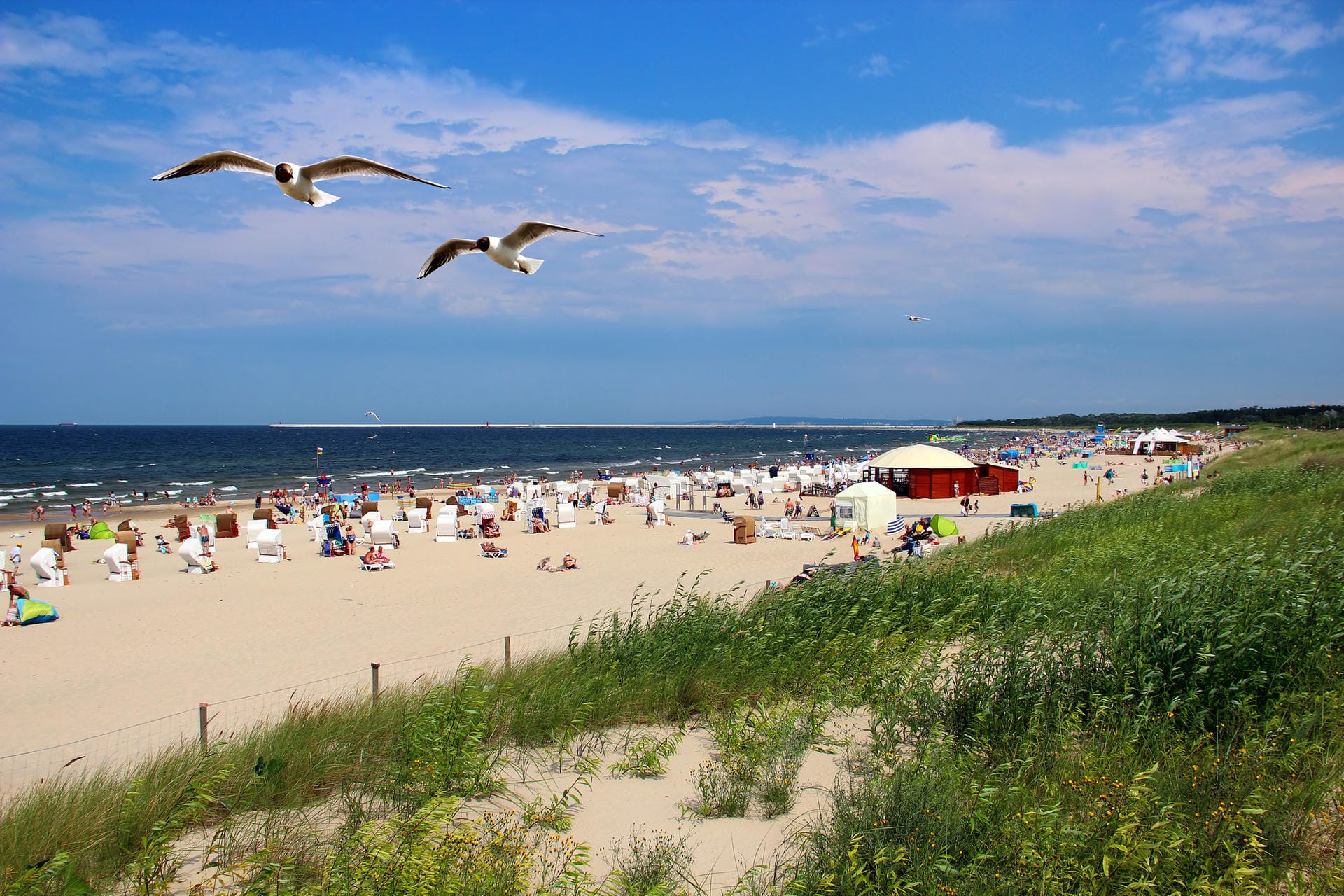 Ostseestrand in Swinemünde (Symbolbild): Die polnische Ostsee bietet eine günstige Alternative zu Usedom. Nacktbaden ist hier aber nicht erwünscht.