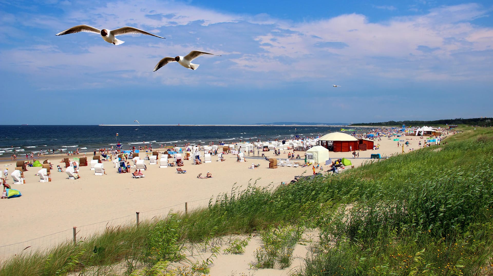 Ostseestrand in Swinemünde (Symbolbild): Die polnische Ostsee bietet eine günstige Alternative zu Usedom. Nacktbaden ist hier aber nicht erwünscht.