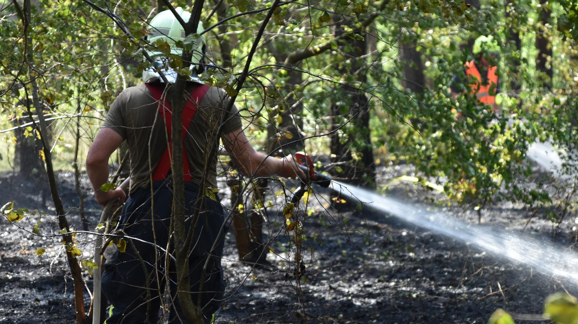 Feuerwehrleute bei Löscharbeiten in Spreehagen: In Brandenburg ist die Waldbrandgefahr aktuell hoch.