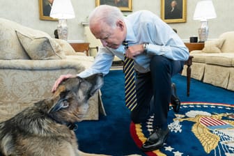 Joe Biden und Champ im Oval Office: "In unseren freudigsten Momenten und an unseren kummervollsten Tagen war er bei uns."