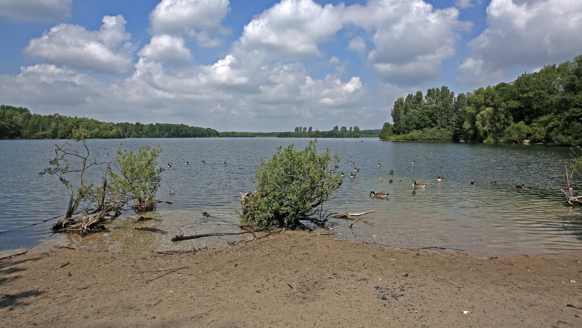 Der Elbsee in Düsseldorf-Unterbach (Archivbild): An diesem See ereignete sich die Auseinandersetzung. Der Elbsee in Düsseldorf-Unterbach (Archivbild): An diesem See ereignete sich die Auseinandersetzung.