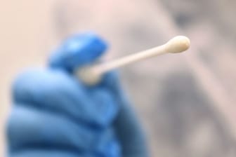 Eine Hand hält einen Tupfer, mit dem ein Abstrich für einen Corona-Test gemacht wird (Symbolbild): Es wurde außerdem kein Todesfall durch das oder mit dem Virus gemeldet.