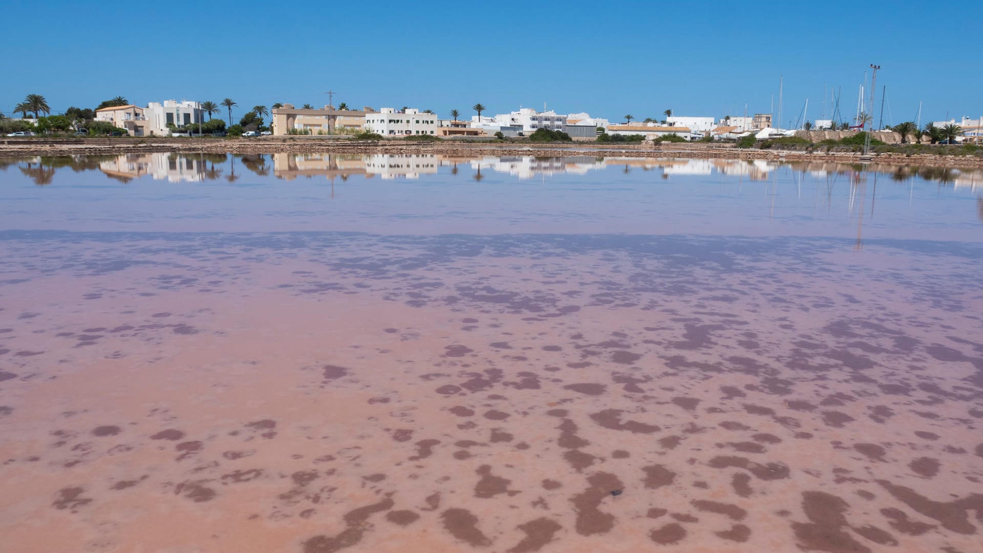 Natur: Rotbraun leuchten die Salinen auf Formentera.